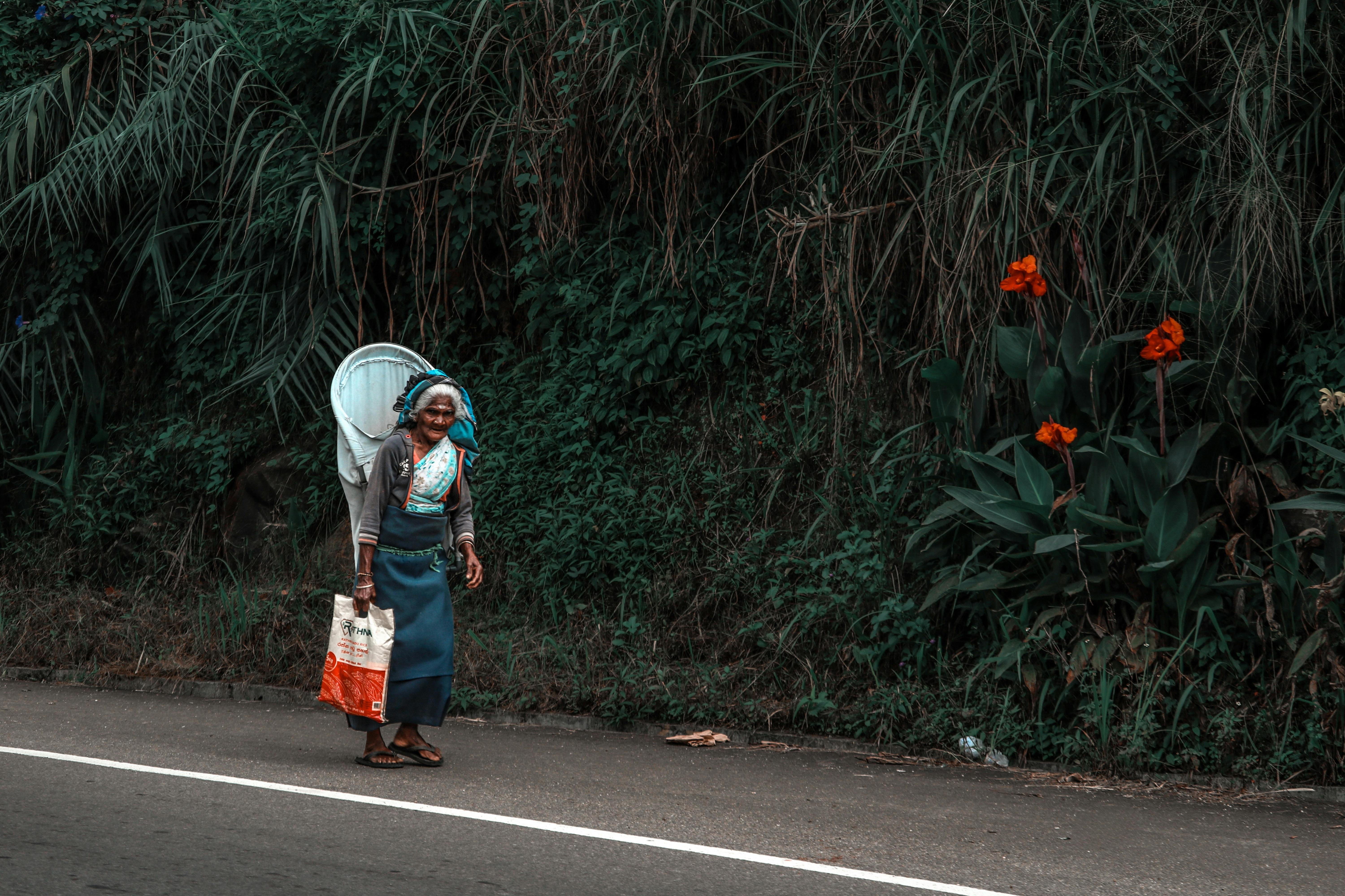 Sri Lanka travel photo